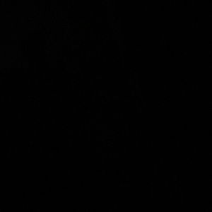 Meet your Posher, Rodney